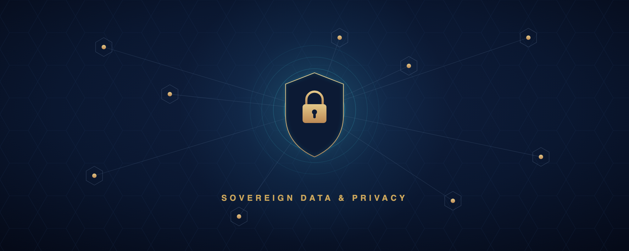 Privacy, Security & Data — Digital Fortress